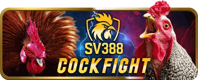 Đội ngũ hỗ trợ khách hàng chuyên nghiệp yo888