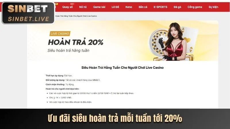 Chương Trình VIP yo888